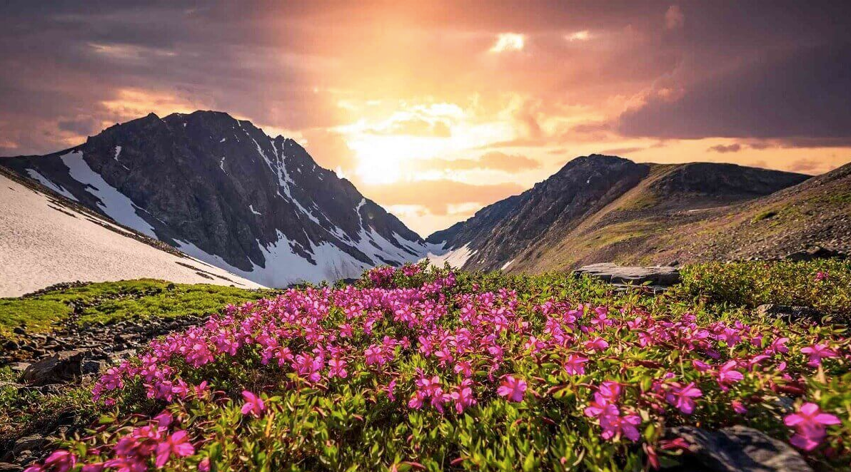 Valley of Flowers Package 2026 – Complete Travel Guide, Trek Details & Tour Packages from Delhi, Haridwar and Dehradun